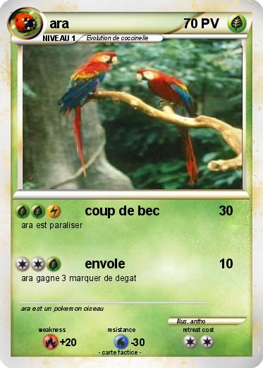Pokemon ara