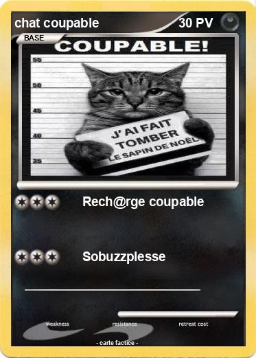 Pokemon chat coupable