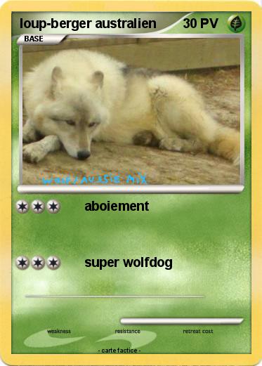 Pokemon loup-berger australien