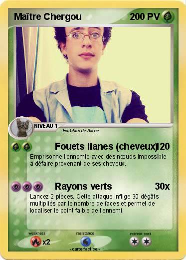 Pokemon Maître Chergou
