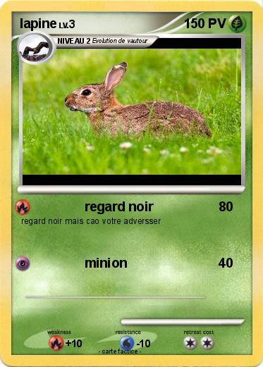 Pokemon lapine