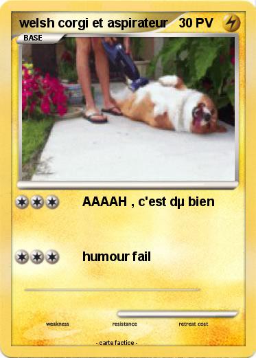 Pokemon welsh corgi et aspirateur