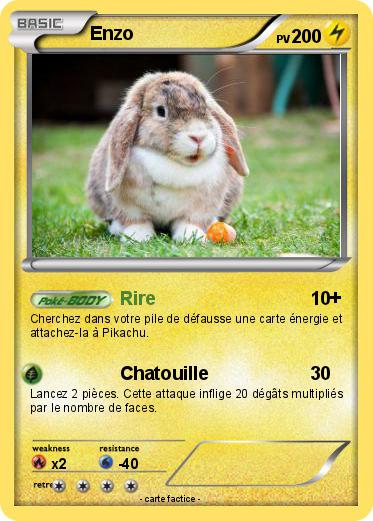 Pokemon Enzo