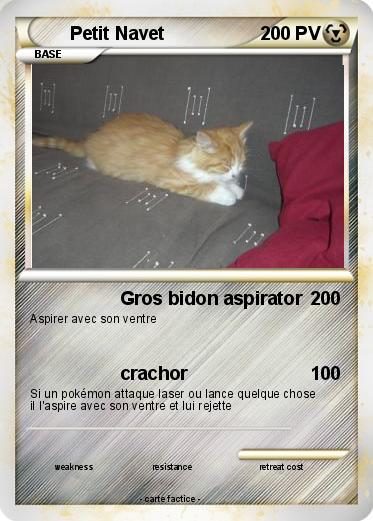 Pokemon Petit Navet
