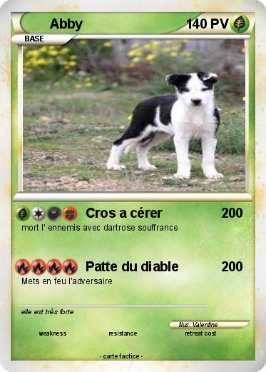 Pokemon Abby