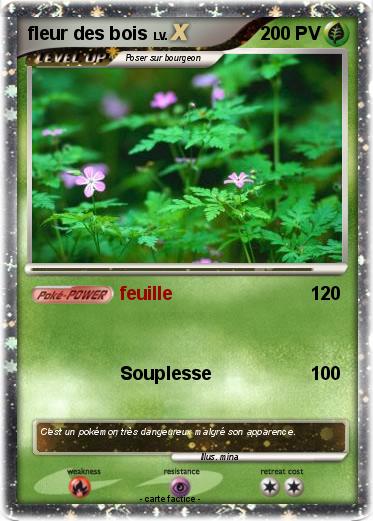 Pokemon fleur des bois