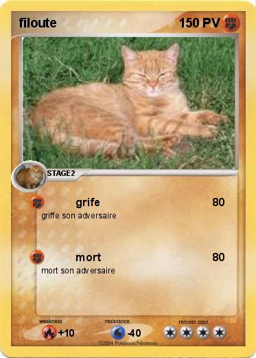 Pokemon filoute