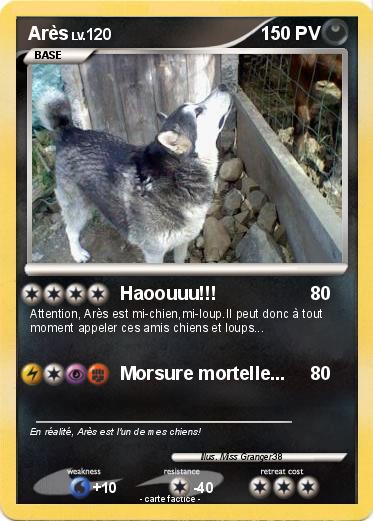 Pokemon Arès