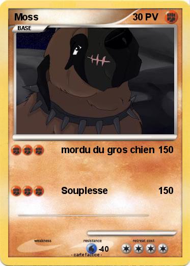 Pokemon Moss