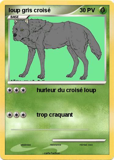 Pokemon loup gris croisé