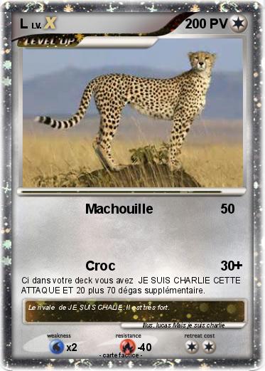 Pokemon L
