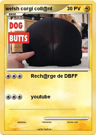 Pokemon welsh corgi coll@nt