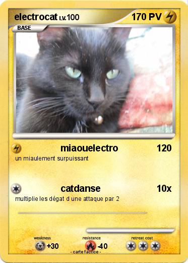 Pokemon electrocat