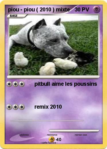 Pokemon piou - piou ( 2010 ) mixte