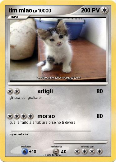 Pokemon tim miao