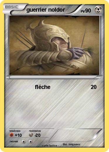 Pokemon guerrier noldor