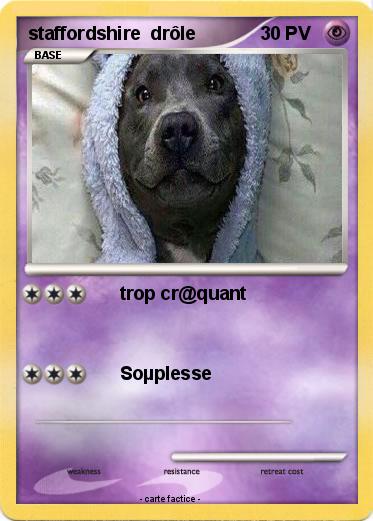 Pokemon staffordshire  drôle