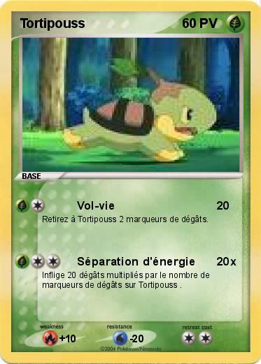 Pokemon Tortipouss