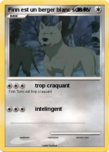 Pokemon Finn est un berger blanc suisse