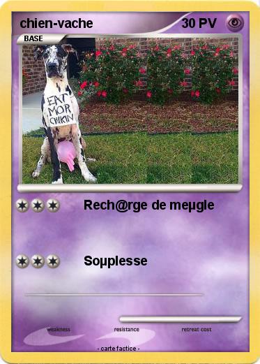 Pokemon chien-vache