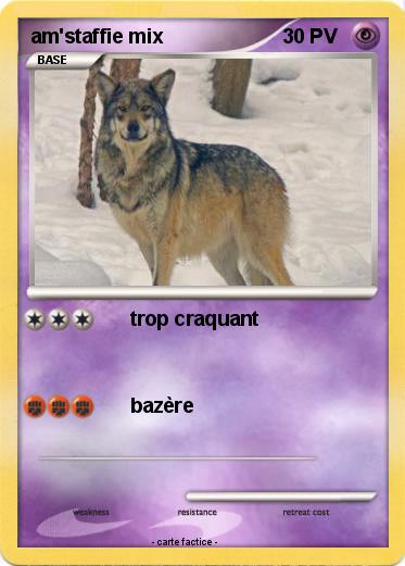 Pokemon am'staffie mix