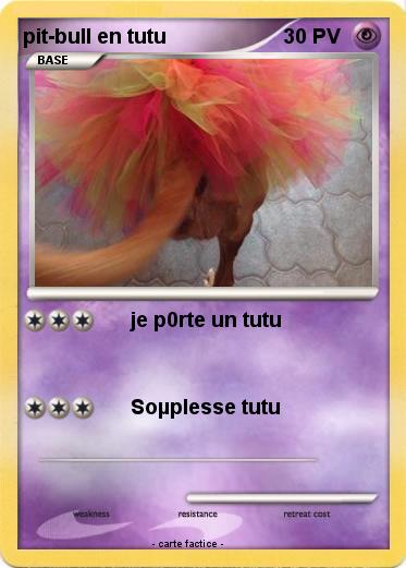 Pokemon pit-bull en tutu