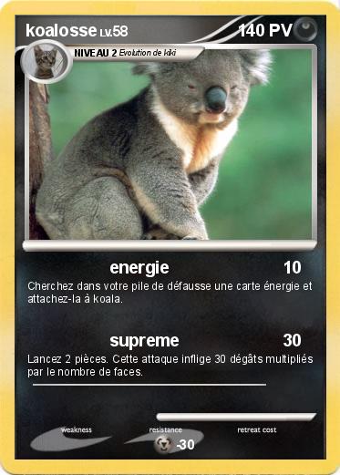 Pokemon koalosse