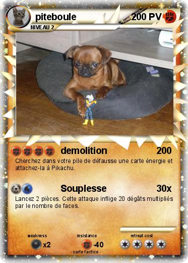 Pokemon piteboule