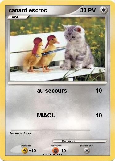 Pokemon canard escroc