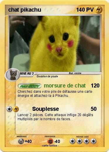Pokemon chat pikachu