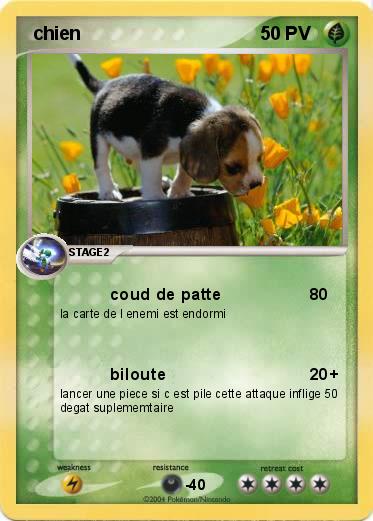 Pokemon  chien        