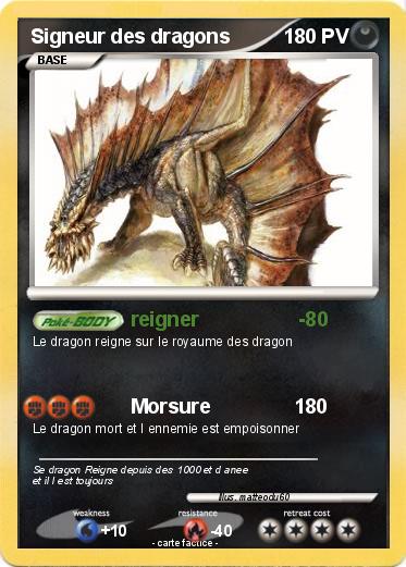 Pokemon Signeur des dragons
