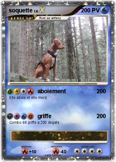 Pokemon soquette