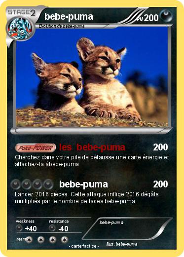 Pokemon bebe-puma