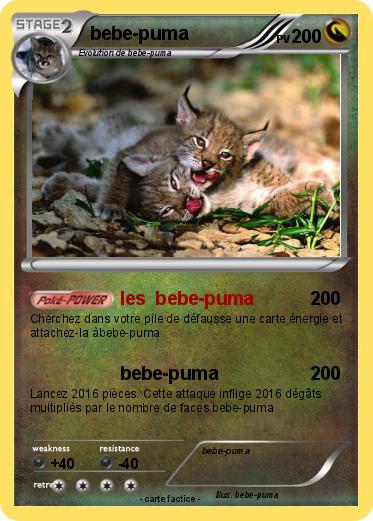 Pokemon bebe-puma