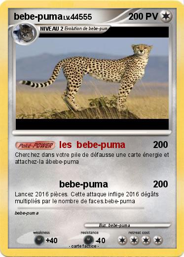 Pokemon bebe-puma