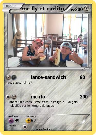 Pokemon mc fly et carlito