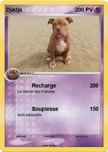 Pokemon Djadja