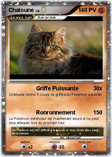 Pokemon Chatoune