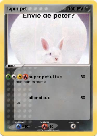 Pokemon lapin pet