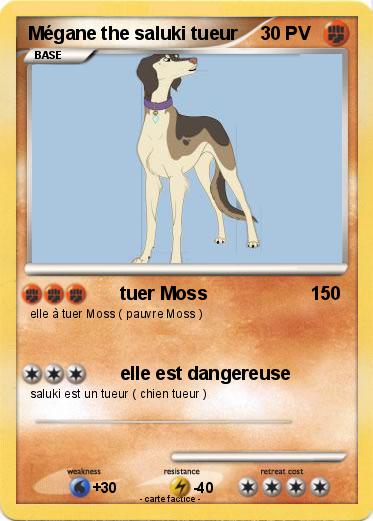 Pokemon Mégane the saluki tueur