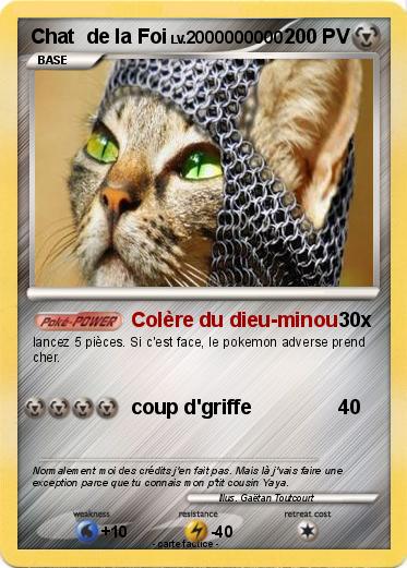 Pokemon Chat  de la Foi