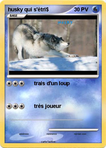 Pokemon husky qui s'étri$