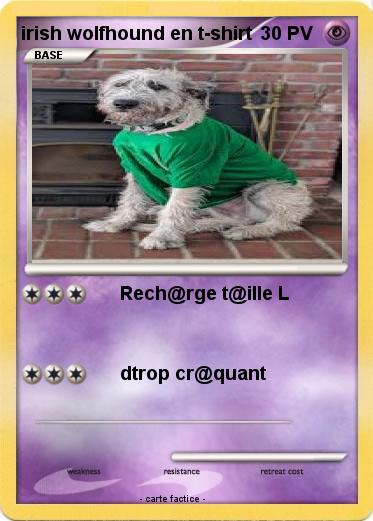 Pokemon irish wolfhound en t-shirt