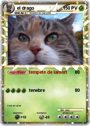 Pokemon el drago