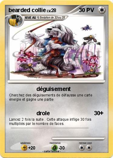 Pokemon bearded collie