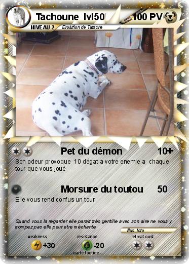Pokemon Tachoune  lvl50