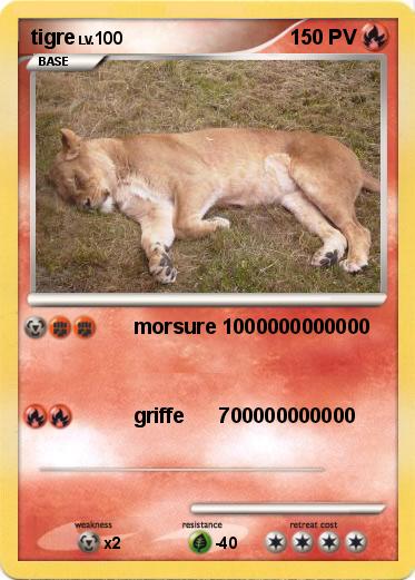 Pokemon tigre