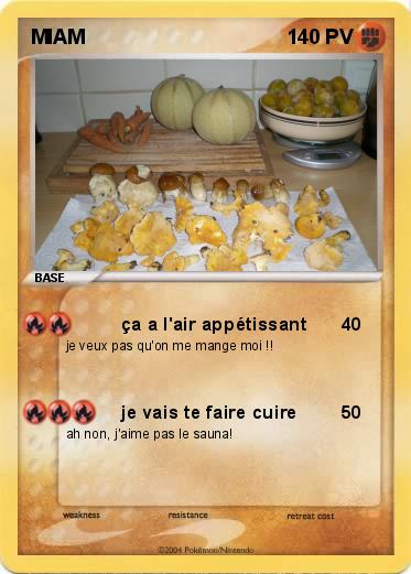 Pokemon MIAM
