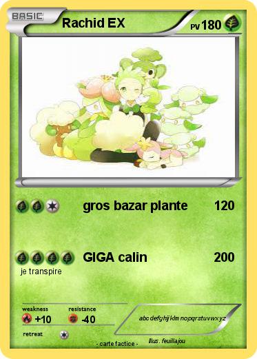 Pokemon Rachid EX